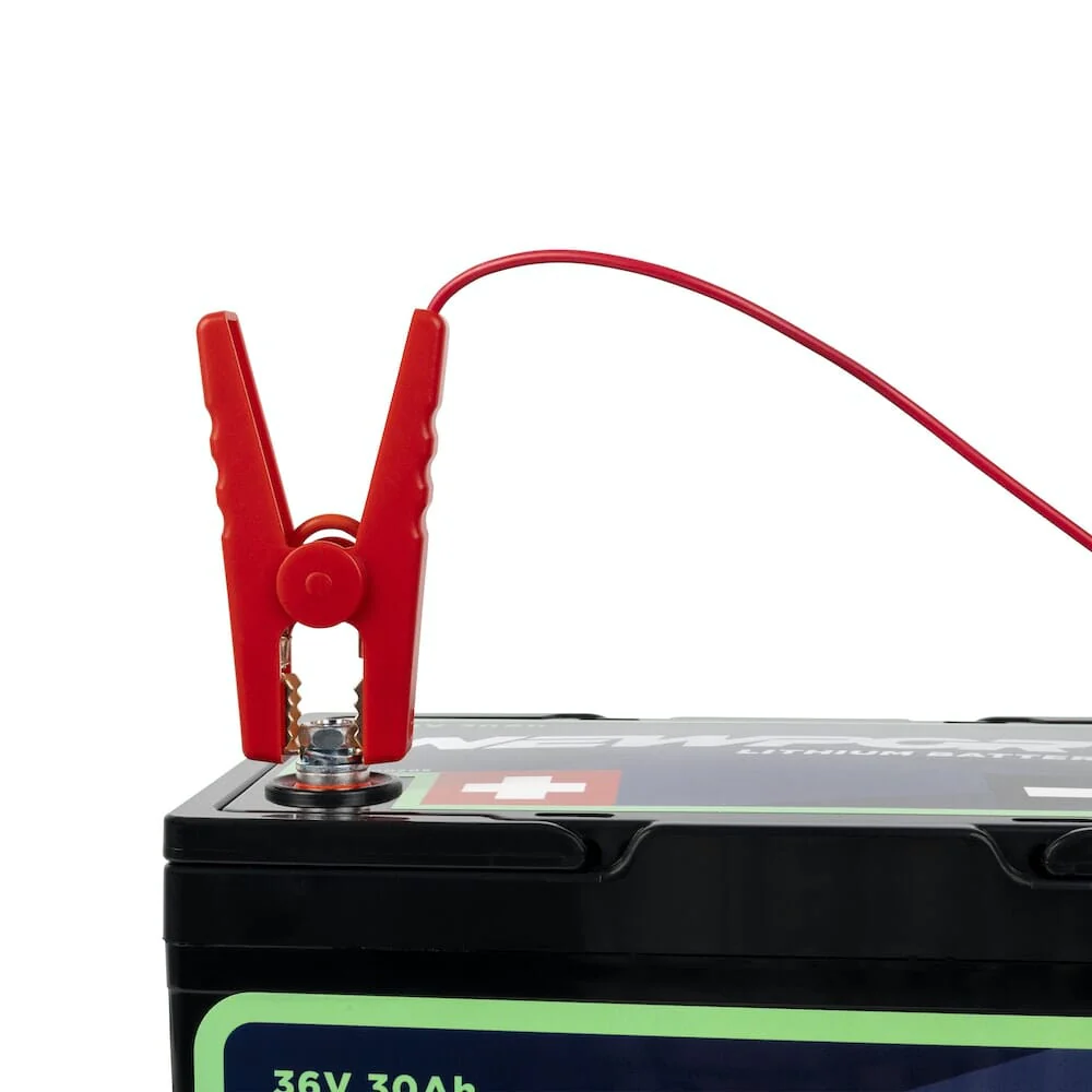 24V Battery Charger - Image 5